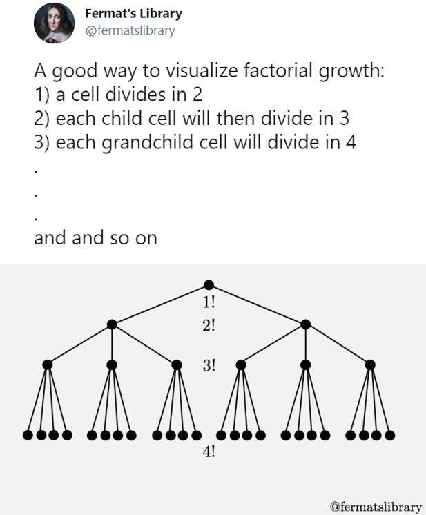 Visualising factorial growth with a tree
